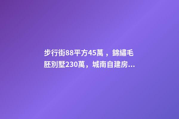 步行街88平方45萬，錦繡毛胚別墅230萬，城南自建房273平帶院165萬